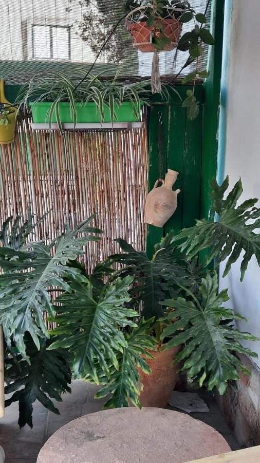 הבית הירוק - Green House Arad Esterno foto